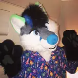 Kiwifox