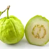 IAmGuavaFruit Fiction Hub