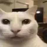 xkaa