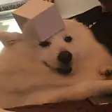 CEKC