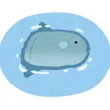生簀川