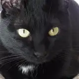 須能黒太