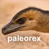 Paleorex