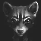 Coonkun