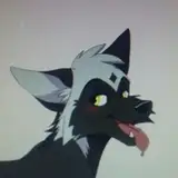 EtherSilverFox