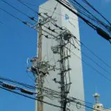 aonatsusu