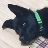 ygm