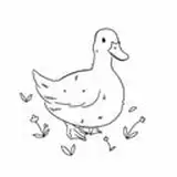 BigDuckGames
