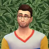 nando_sims