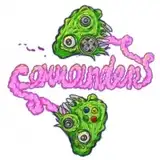 ilya_commander