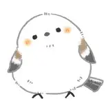 ponpon