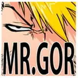 Mr.Gor