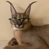 2754558776984