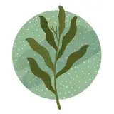 leafmotif