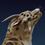 owlel
