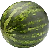 obstinatemelon