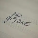 12tonevideos