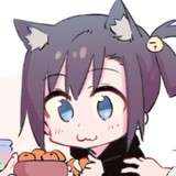 秋タカ