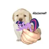 Imadeus