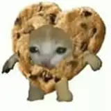 Chein