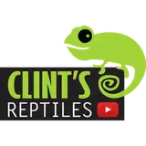 Clint's Reptiles