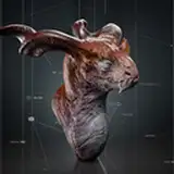 LFOdesign