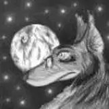 Coyotek