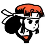POCKET DOJO