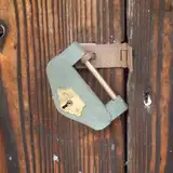 陵魚