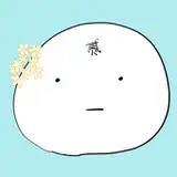 山桂贰