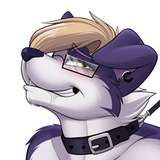 drakodoge