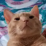 JibsGibblyVR