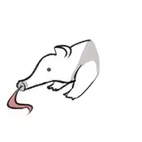 むいむいむいむい