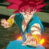 Sakkayarts