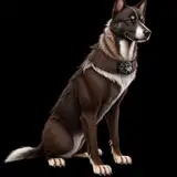 SeizureDogs