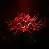 幽玄花