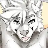 The Furry n00k