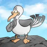 NOSY GULL
