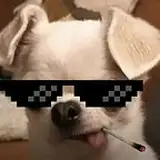 JacksOWO