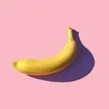 sickdude_lee